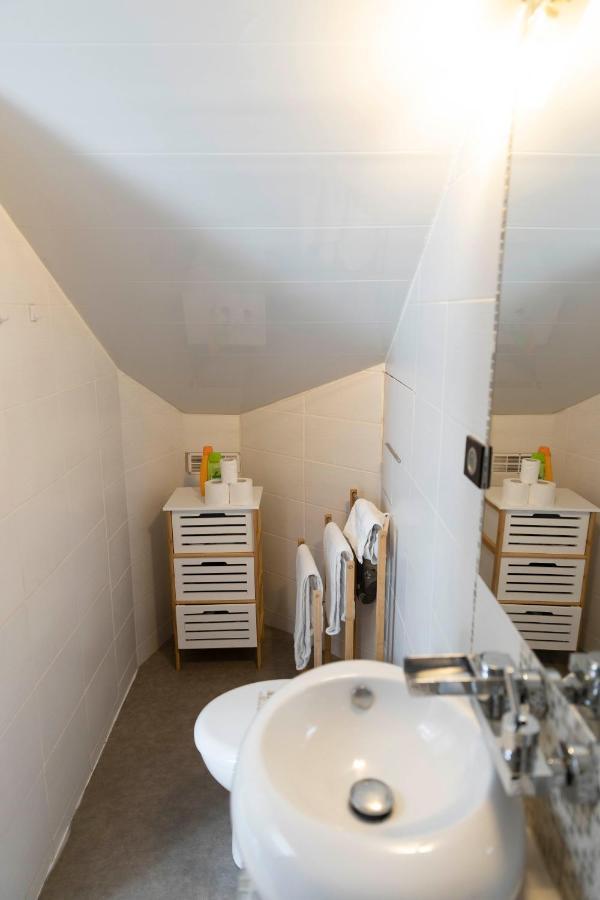 Magnifique Triplex Avec Sauna Plein Centre Ville メス エクステリア 写真
